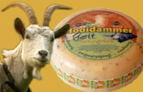 Hoodidammer Ziegengouda mit Bockshornklee