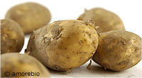 Artikelbild: Frühkartoffeln festkochend
