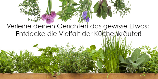 Küchenkräuter