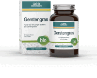 Artikelbild: Gerstengras (Bio) Pulver
