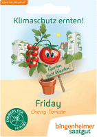 Artikelbild: Tomate Friday