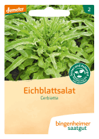 Artikelbild: Pflücksalat Cerbiatta