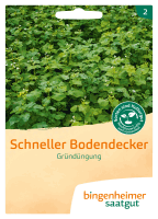 Artikelbild: Schneller Bodendecker