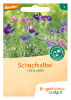 Artikelbild: Schopfsalbei