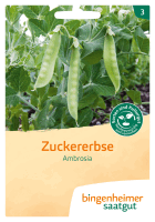 Artikelbild: Zuckererbse Ambrosia
