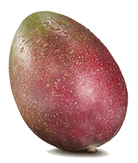 Artikelbild: Mango 