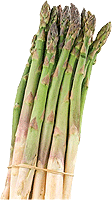 Artikelbild: Spargel Bund grün 250gr.