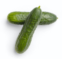 Artikelbild: Landgurke <strong>Sasionartikel ausgelistet am: 14.11.2025</strong>