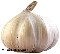 Artikelbild: Knoblauch