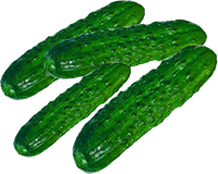 Artikelbild: Minigurken