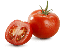 Artikelbild: Strauchtomaten