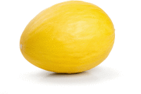 Artikelbild: Honigmelone Canari 