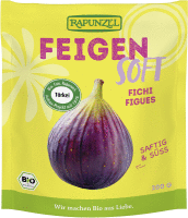 Artikelbild: Feigen Soft, Projekt