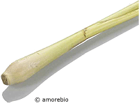 Artikelbild: Zitronengras <strong>ausgelistet am: 05.09.2025</strong>