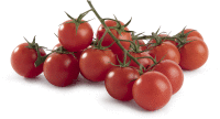 Artikelbild: Cherrytomaten am Zweig