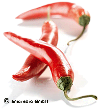 Artikelbild: Peperoni Chili
