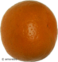 Artikelbild: Satsumas grünlich