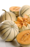Artikelbild: Honigmelone Charentais / Cantaloupe