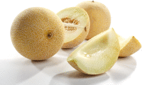 Artikelbild: Honigmelone Galia <strong>Sasionartikel ausgelistet am: 13.10.2026</strong>