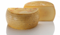 Artikelbild: Grana Padano DOP