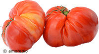 Artikelbild: Fleischtomaten