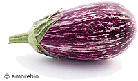 Artikelbild: Aubergine Graffiti