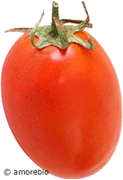 Artikelbild: Tomaten Roma  <strong>Lieferschwierigkeiten bis: 02.04.2023</strong>
