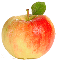 Artikelbild: Apfel Ariwa