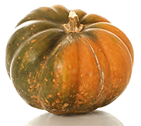 Artikelbild: Muskatkürbis 