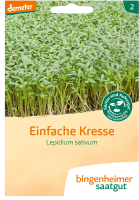 Artikelbild: Einfache Kresse