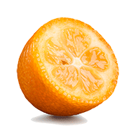 Artikelbild: Kumquat