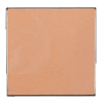 Artikelbild: benecos Refill Compact Powder warm desert 04