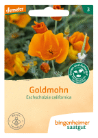 Artikelbild: Goldmohn