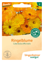 Artikelbild: Ringelblume