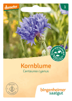 Artikelbild: Kornblume <strong>ausgelistet vom Lieferant am: 08.09.2024</strong>