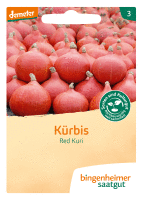 Artikelbild: Kürbis Red Kuri