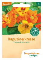 Artikelbild: Kapuzinerkresse (rankend)