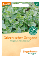 Artikelbild: griechischer Oregano