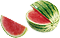Wassermelone Mini
